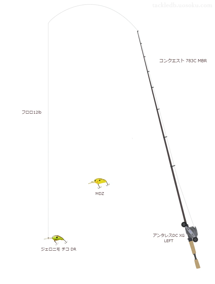 バス釣りに関するタックル、仕掛け図解