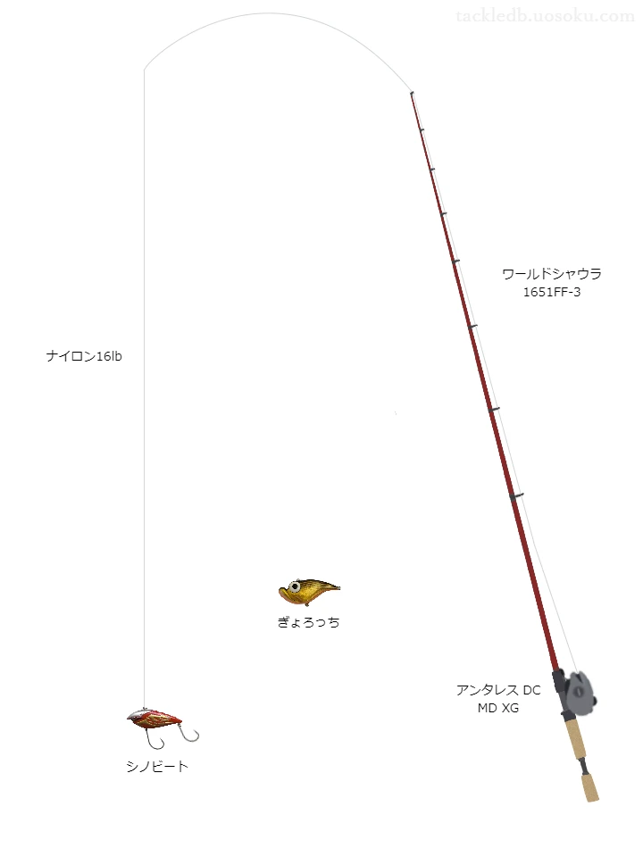 【七川ダム】ワーシャ＋アンタレス バス釣りタックル