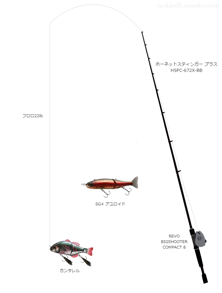 バス釣りに関するタックル、仕掛け図解