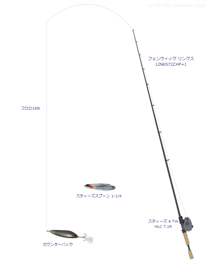 カウンターバックのためのベイトタックル。ティムコのロッドとダイワのリール