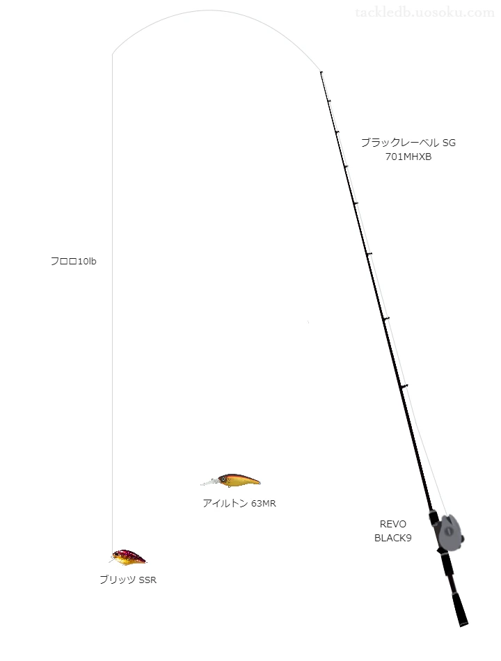 バス釣りに関するタックル、仕掛け図解