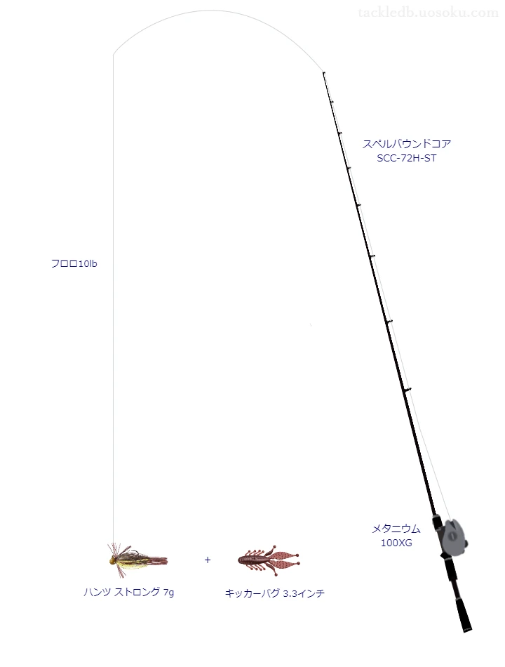 バス釣りに関するタックル、仕掛け図解