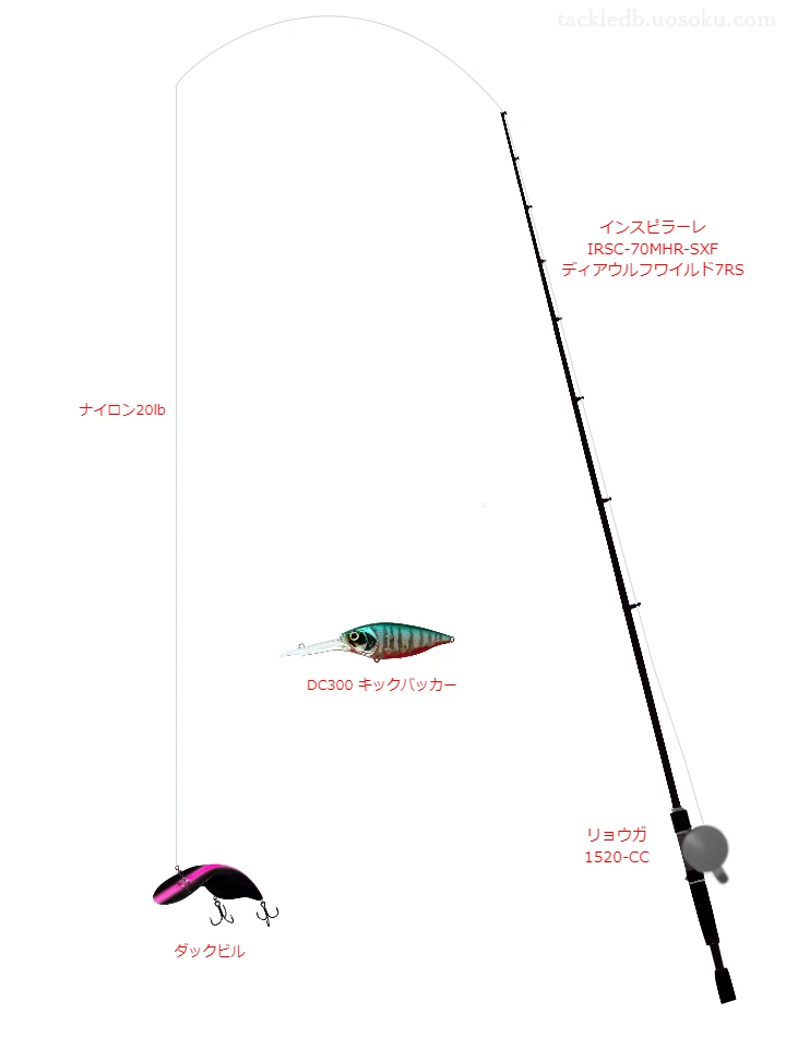 バス釣りに関するタックル、仕掛け図解