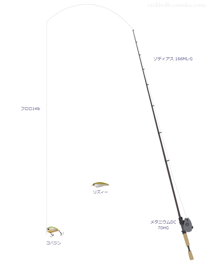 バス釣りに関するタックル、仕掛け図解