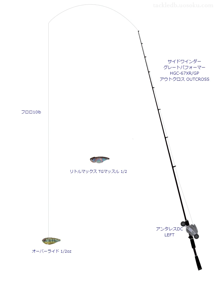 バス釣りに関するタックル、仕掛け図解