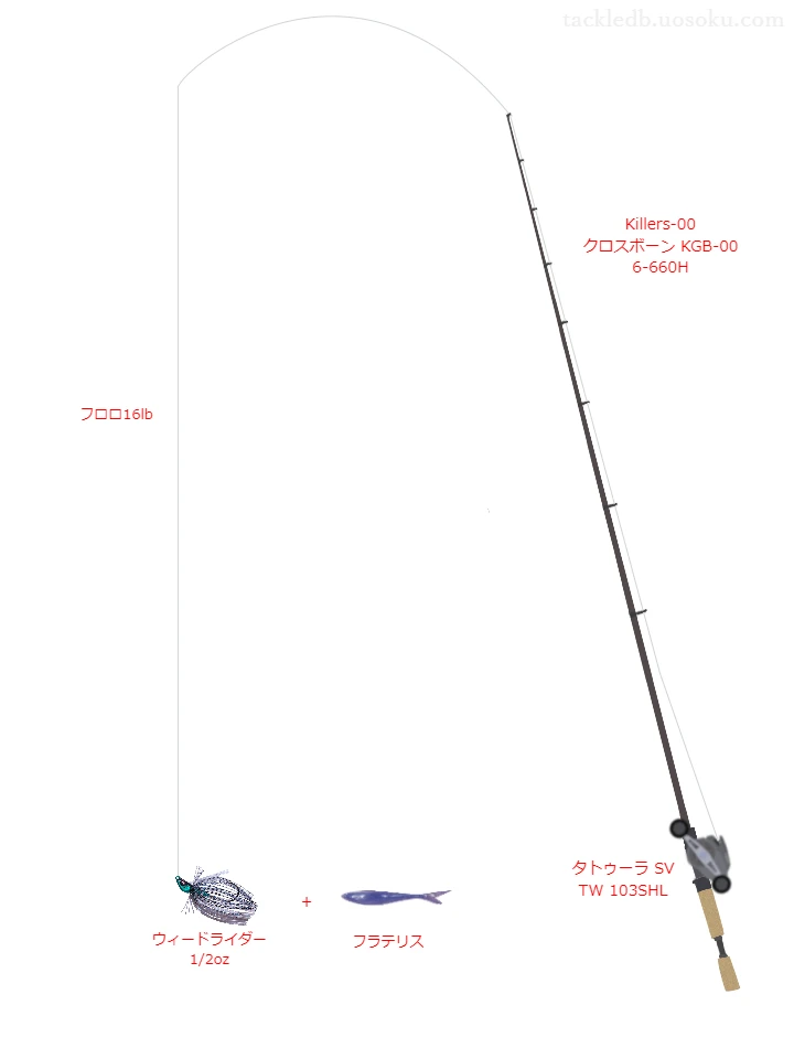 バス釣りに関するタックル、仕掛け図解