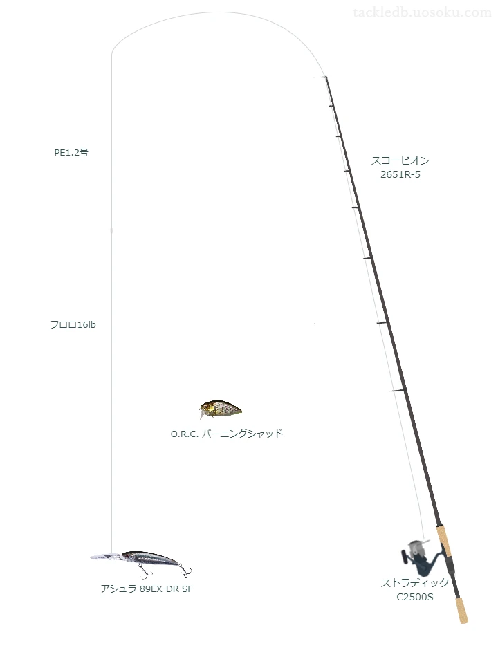 バス釣りに関するタックル、仕掛け図解