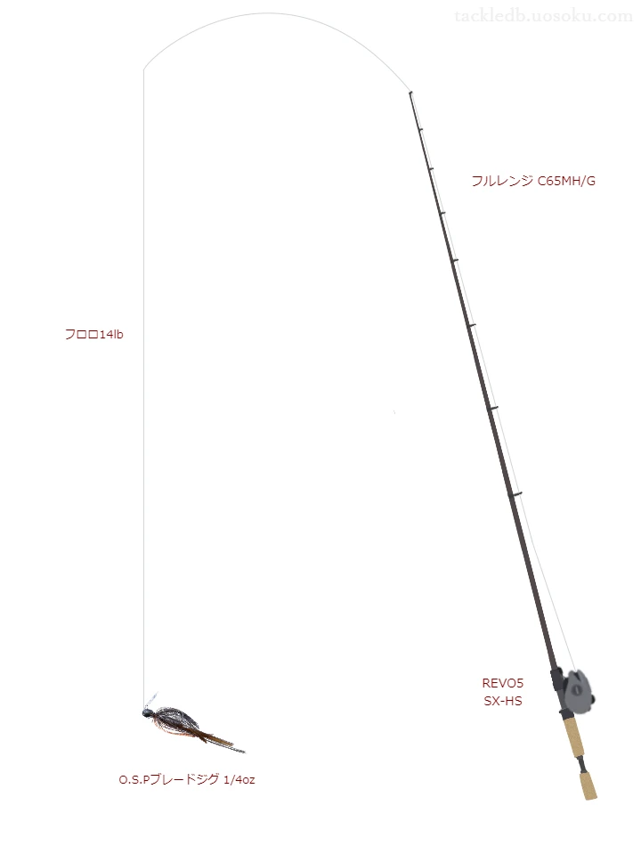 バス釣りに関するタックル、仕掛け図解