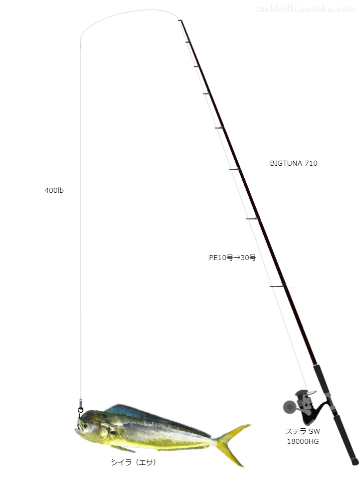 泳がせ釣りに関するタックル、仕掛け図解