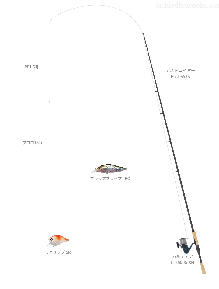 バス釣りに関するタックル、仕掛け図解