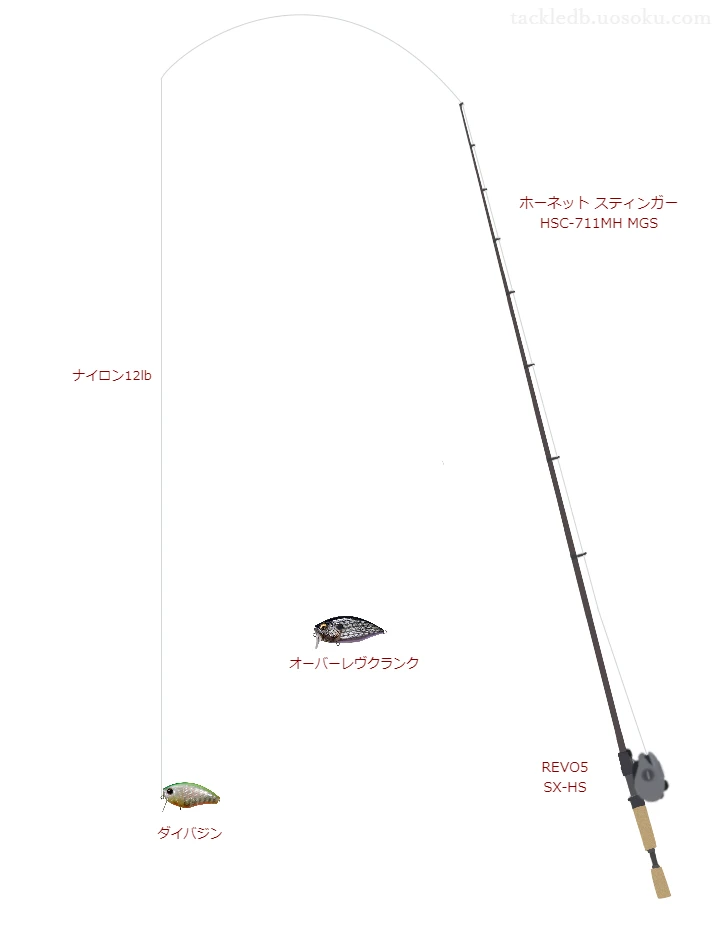 【牟田池】ダイバジンのためのバス釣りタックル【ホーネット スティンガー HSC】