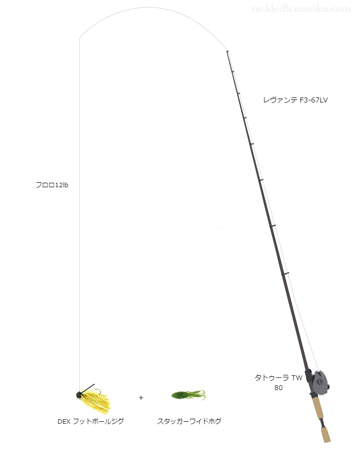 バス釣りに関するタックル、仕掛け図解