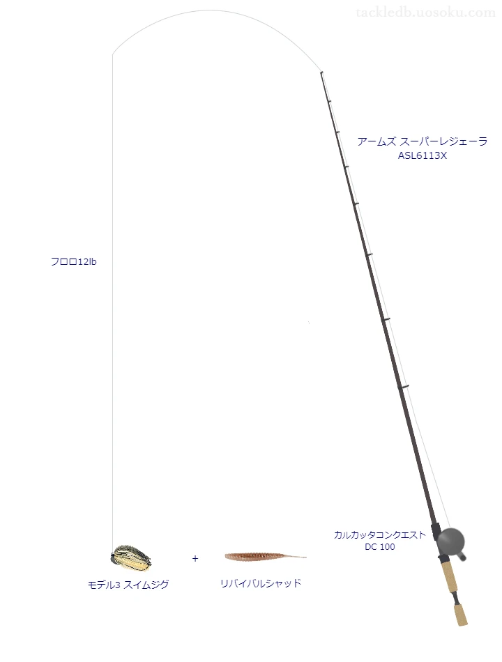 バス釣りに関するタックル、仕掛け図解