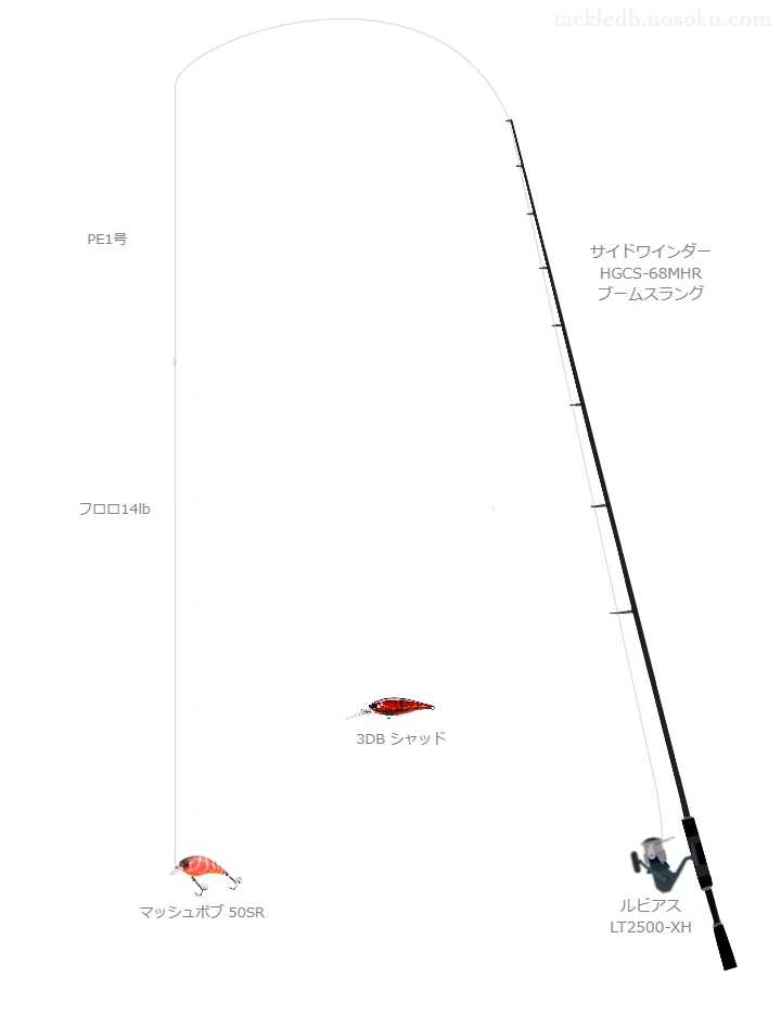 バス釣りに関するタックル、仕掛け図解