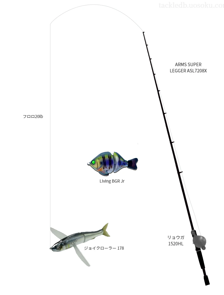 バス釣りに関するタックル、仕掛け図解