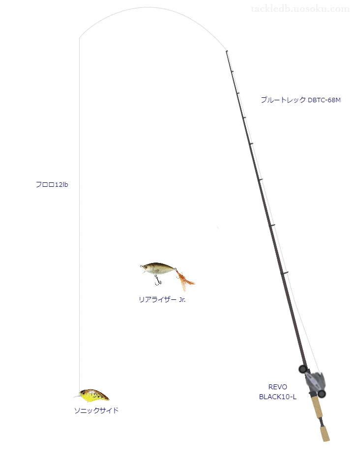 バス釣りに関するタックル、仕掛け図解