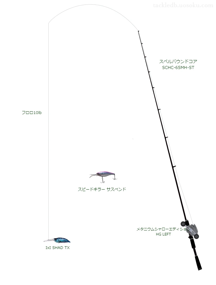 バス釣りに関するタックル、仕掛け図解