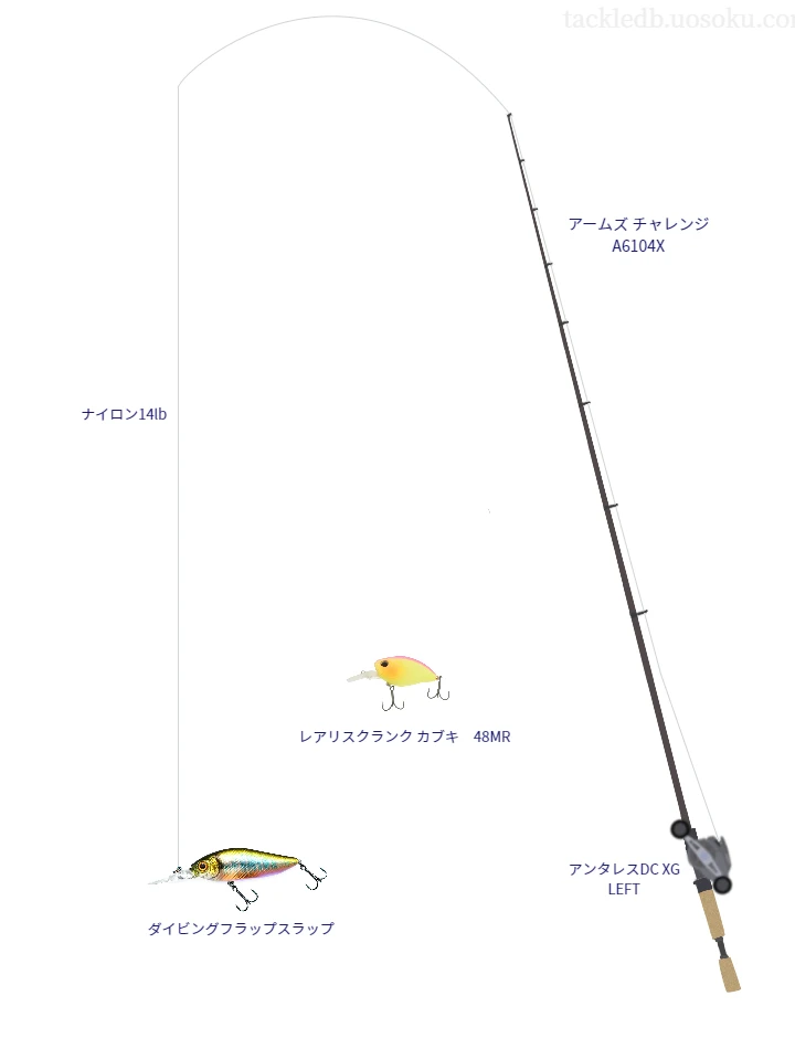 ダイビングフラップスラップのためのバス釣りタックル【クランクベイト】