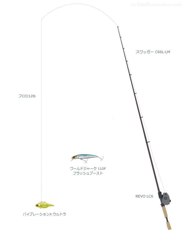 バス釣りに関するタックル、仕掛け図解