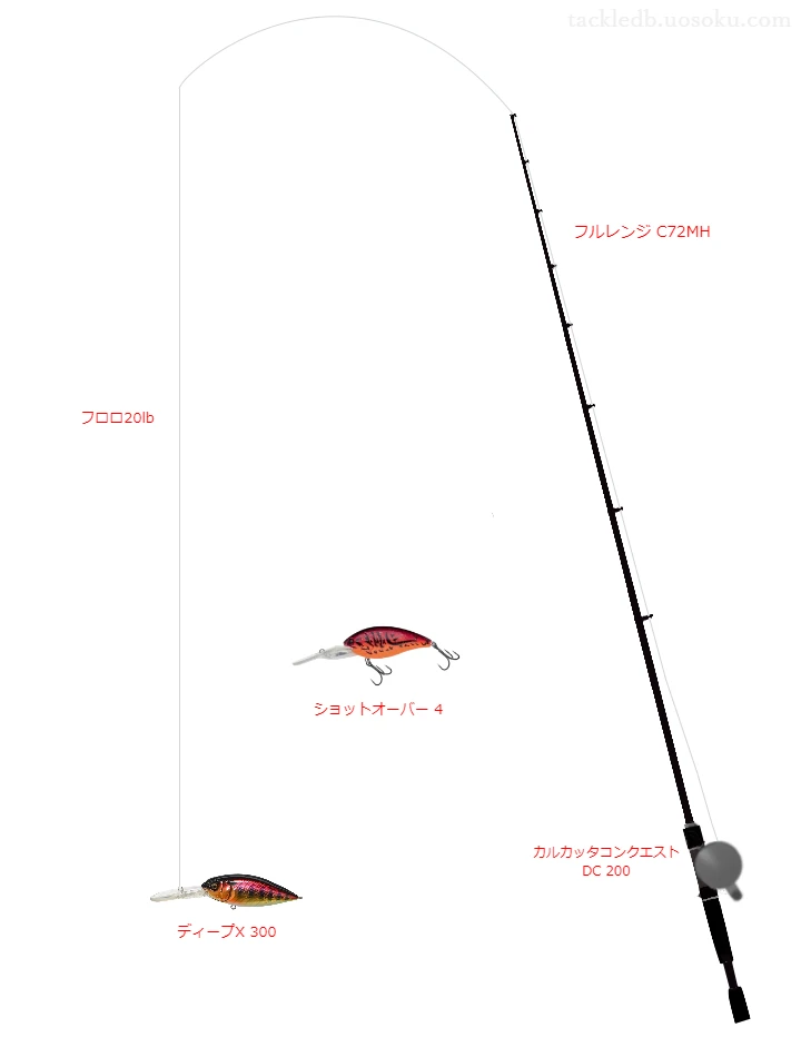 バス釣りに関するタックル、仕掛け図解