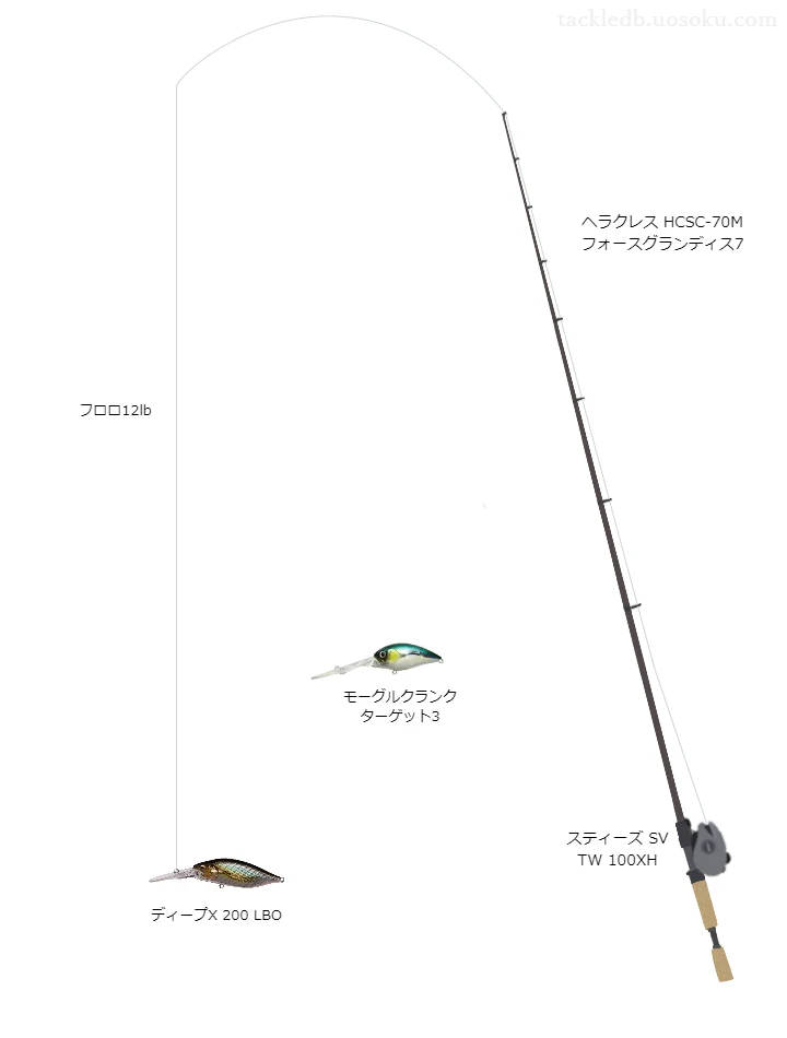 エクスレッド type NS 12lbをヘラクレス HCSCと使用したベイトタックル【仮想インプレ】