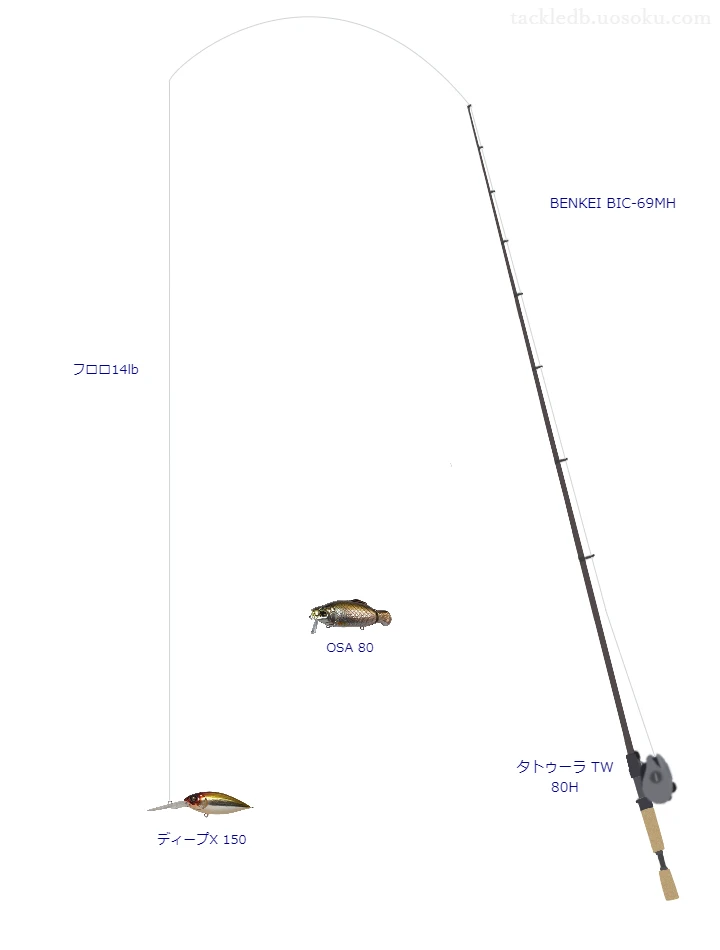 バス釣りに関するタックル、仕掛け図解