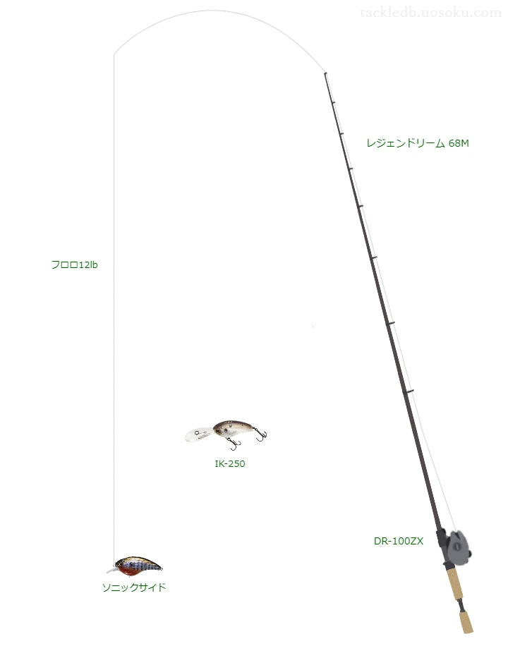 バス釣りに関するタックル、仕掛け図解