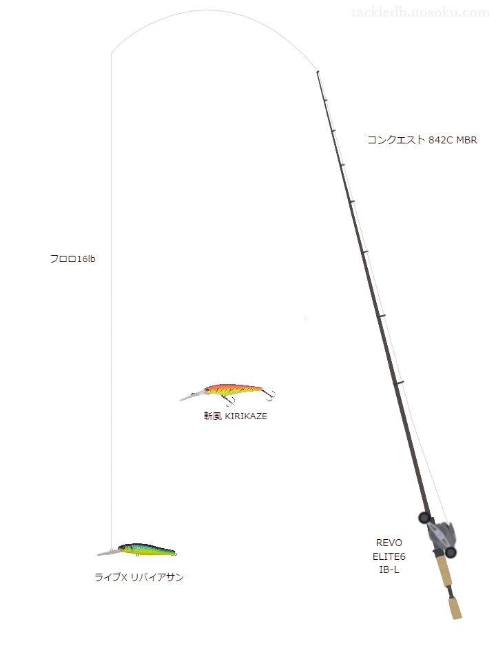 バス釣りに関するタックル、仕掛け図解