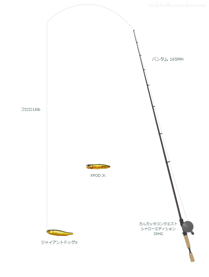 ジャイアントドッグXのためのバス釣りタックル【トップウォーター】