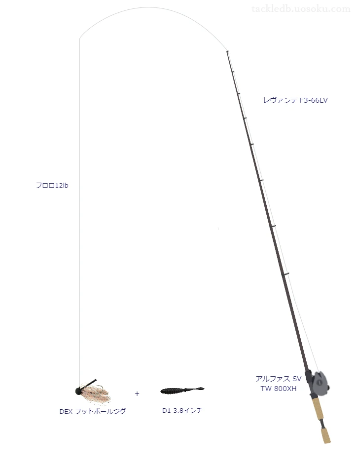 バス釣りに関するタックル、仕掛け図解