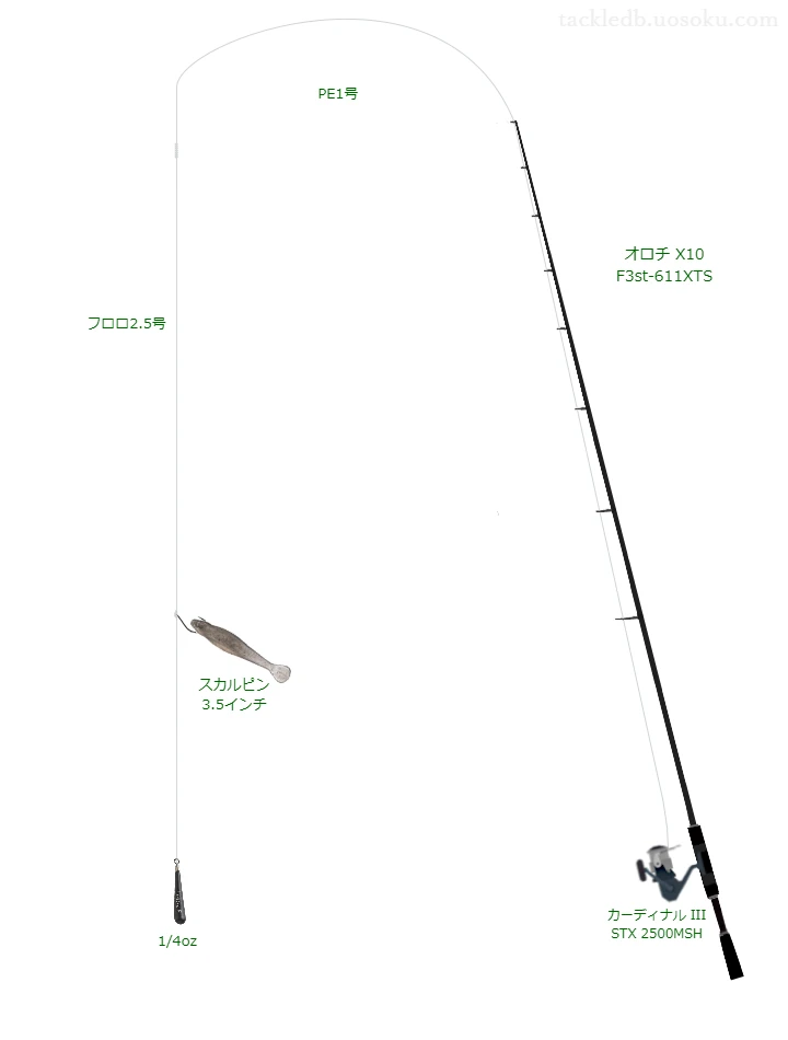 オロチ X10 F3stでワームを使うバス釣りタックル【仮想インプレ】