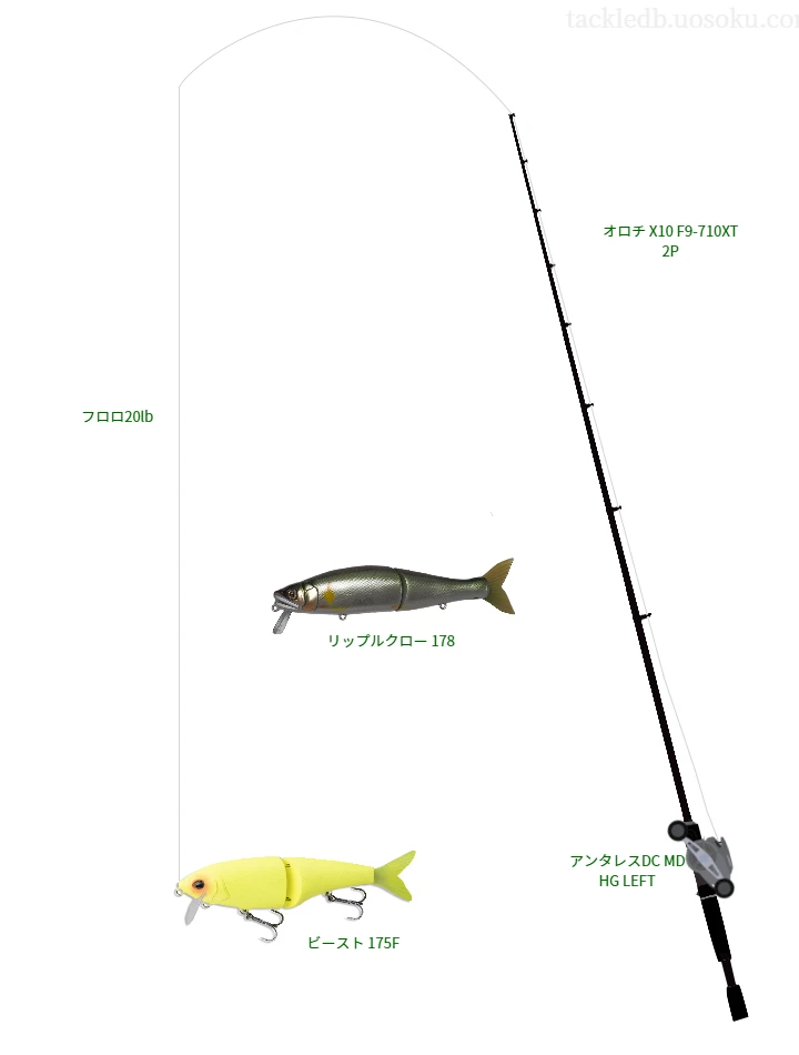 バス釣りに関するタックル、仕掛け図解