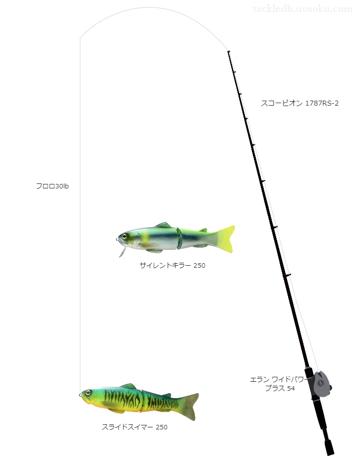 バス釣りに関するタックル、仕掛け図解