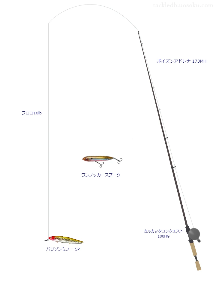 バス釣りに関するタックル、仕掛け図解