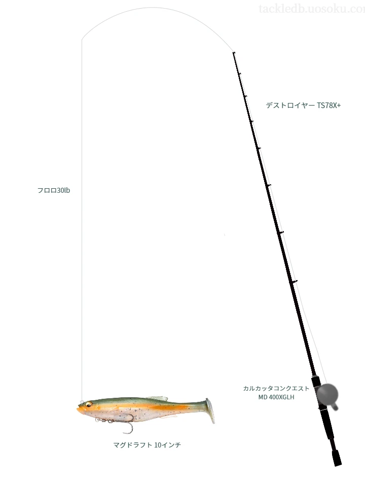 バス釣りに関するタックル、仕掛け図解