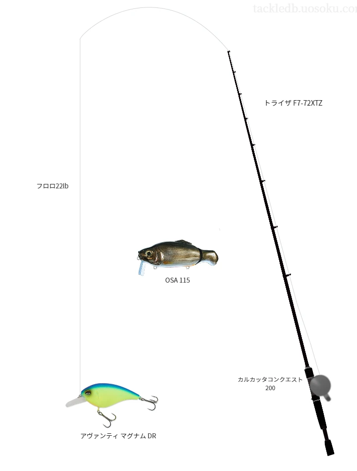 バス釣りに関するタックル、仕掛け図解