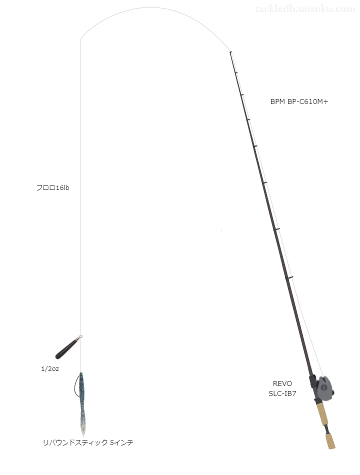 バス釣りに関するタックル、仕掛け図解