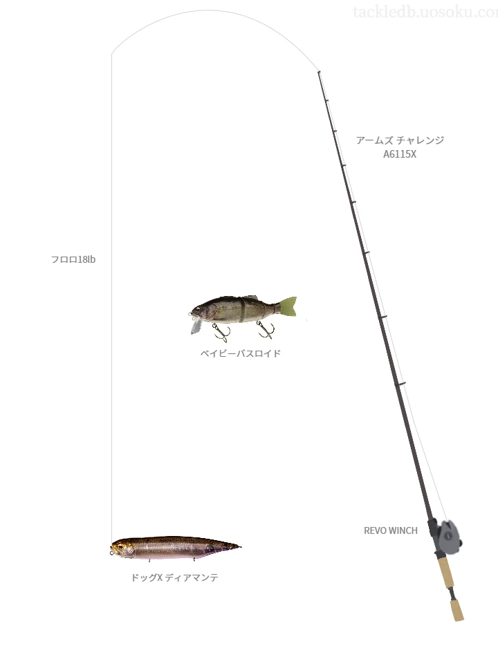 バス釣りに関するタックル、仕掛け図解