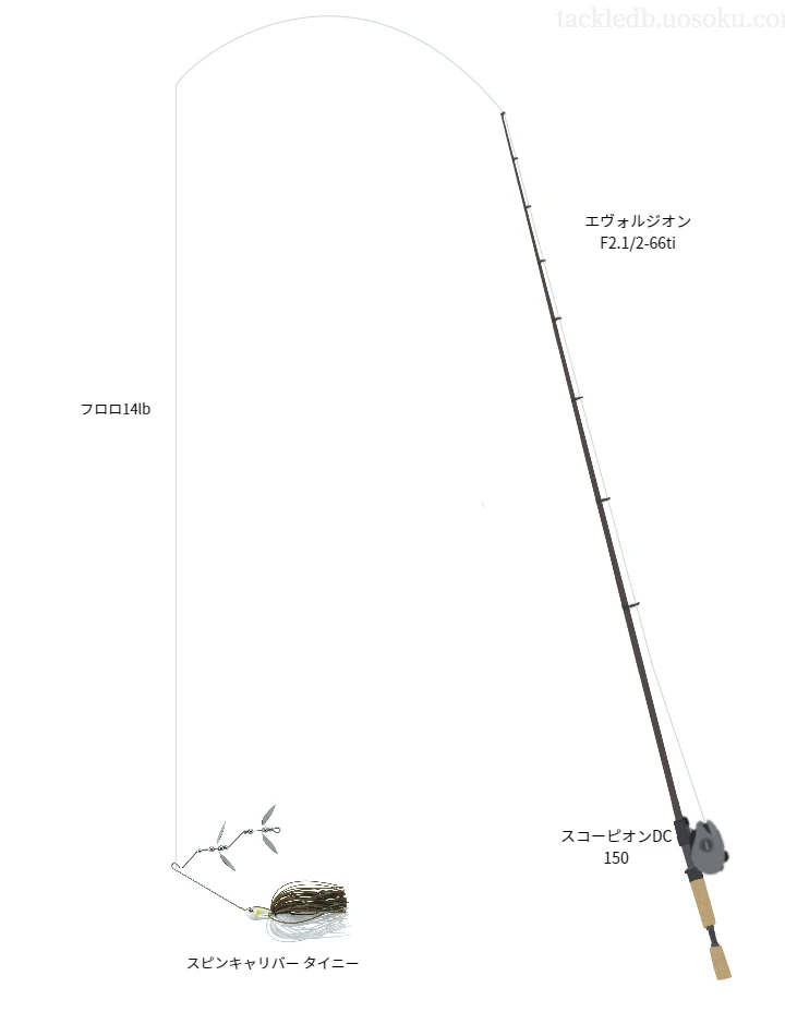 バス釣りに関するタックル、仕掛け図解