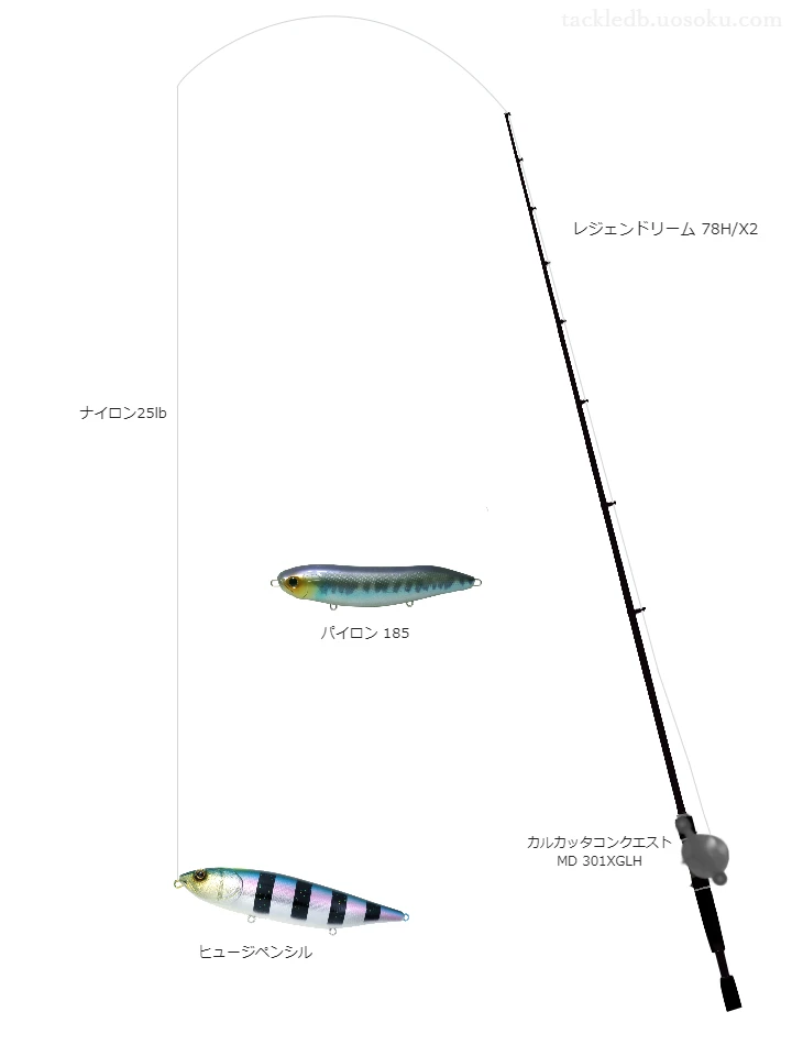 バス釣りに関するタックル、仕掛け図解