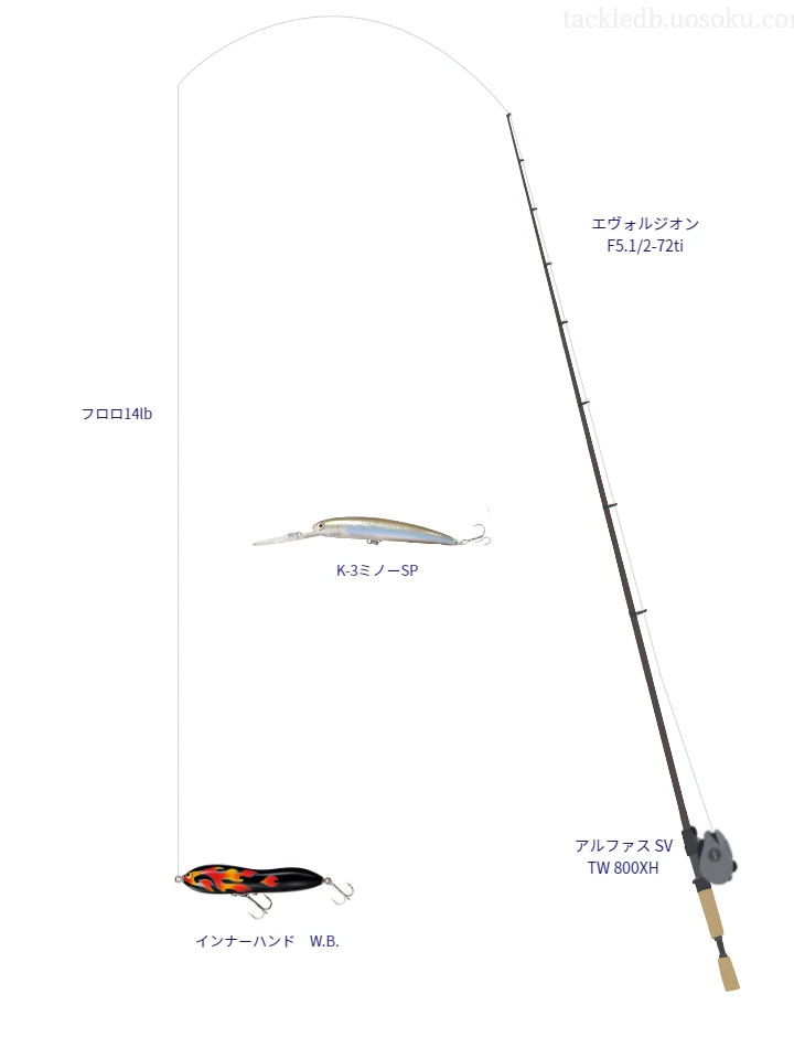 バス釣りに関するタックル、仕掛け図解