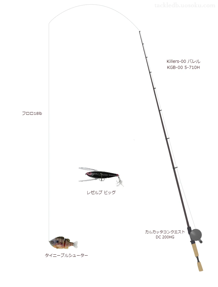 バス釣りに関するタックル、仕掛け図解