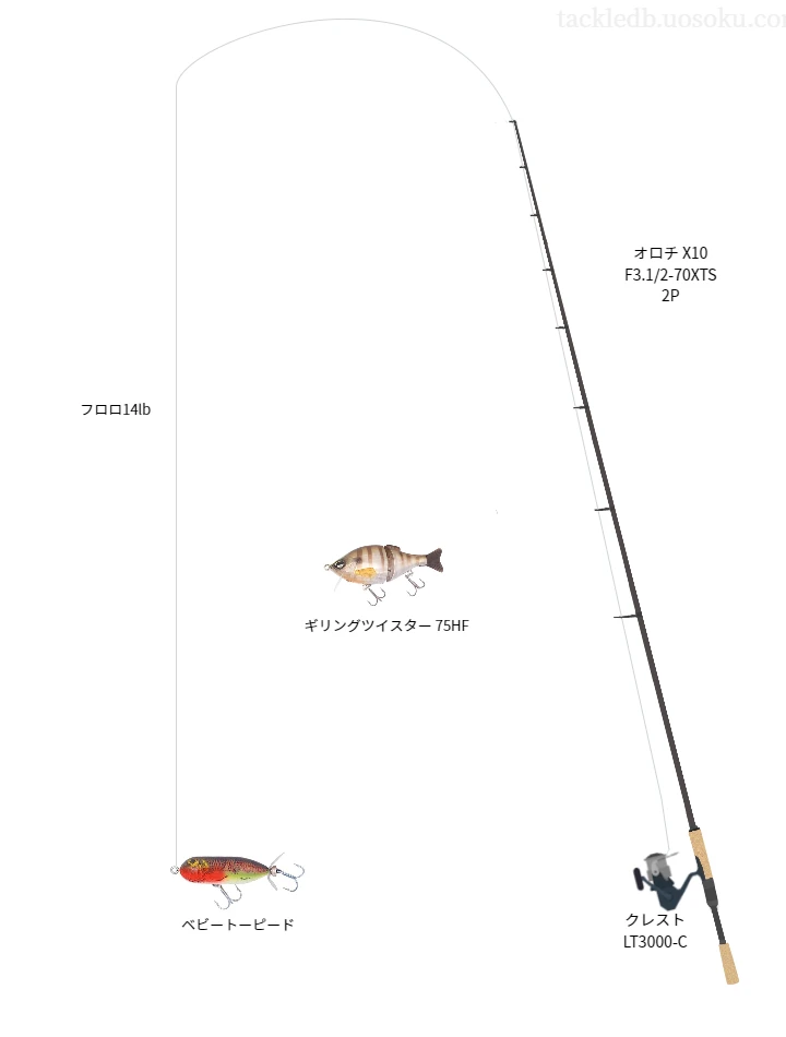 バス釣りに関するタックル、仕掛け図解