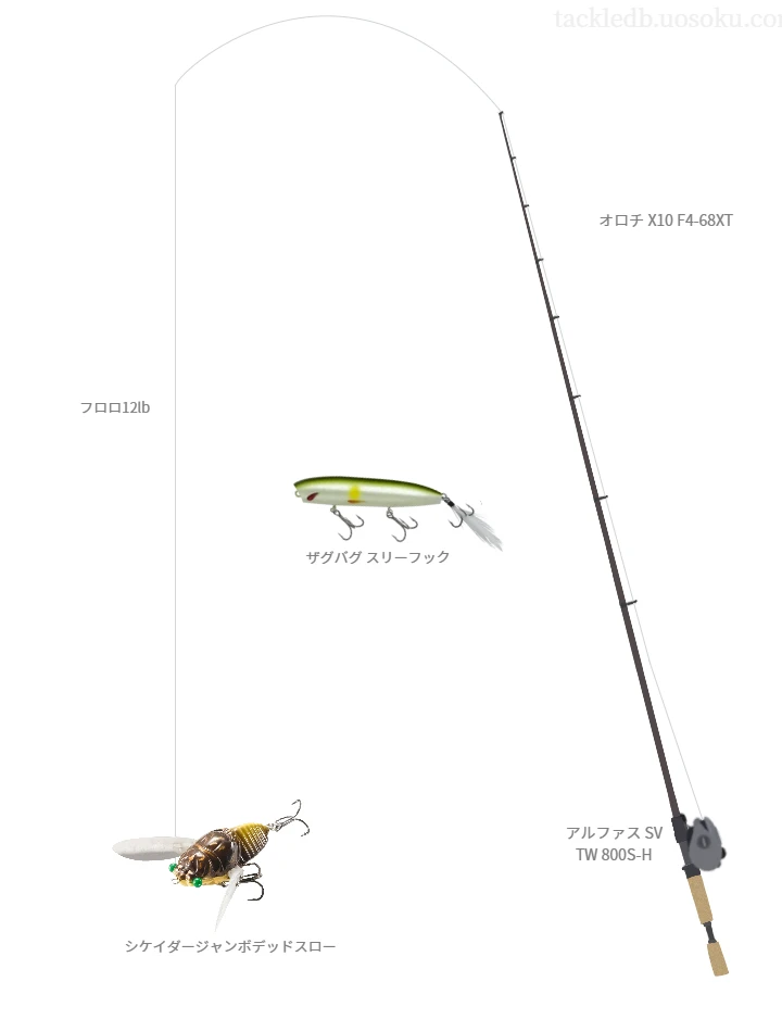 バス釣りに関するタックル、仕掛け図解