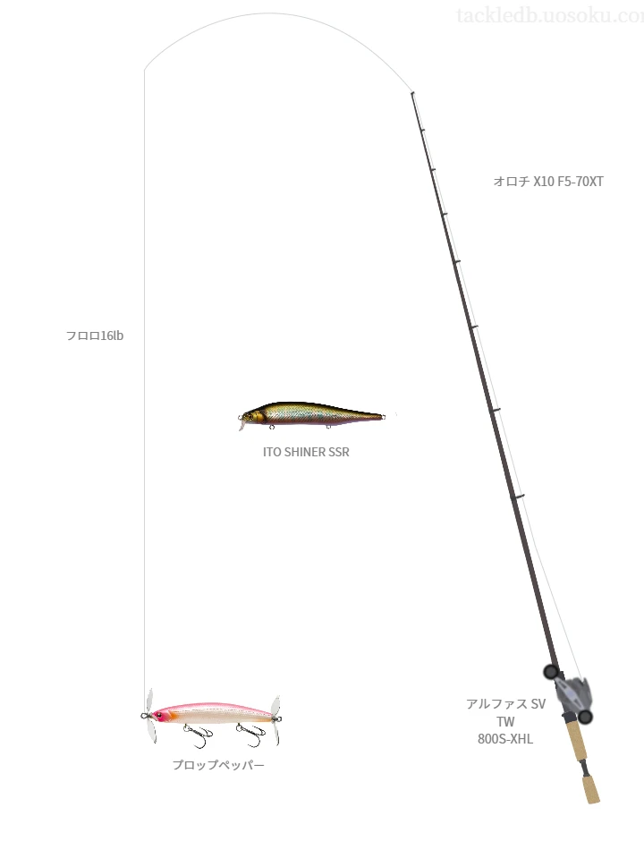 バス釣りに関するタックル、仕掛け図解