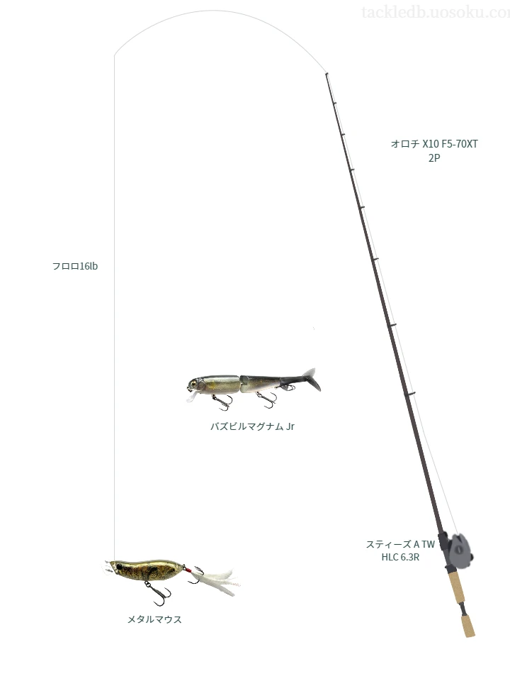 バス釣りに関するタックル、仕掛け図解