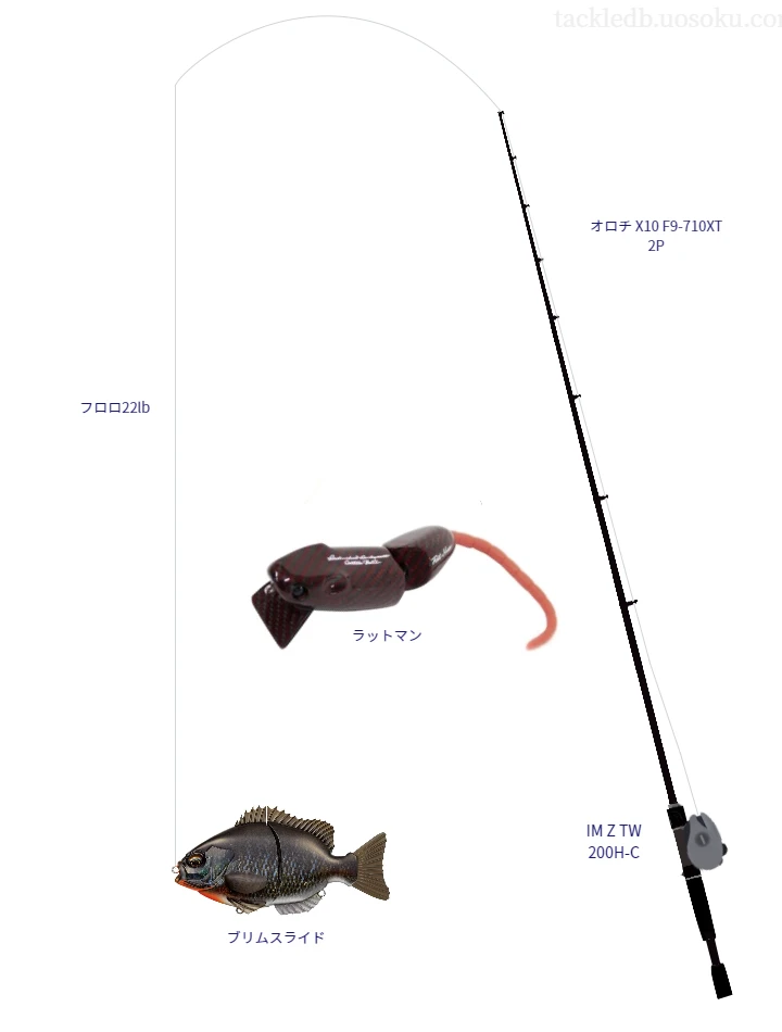 バス釣りに関するタックル、仕掛け図解