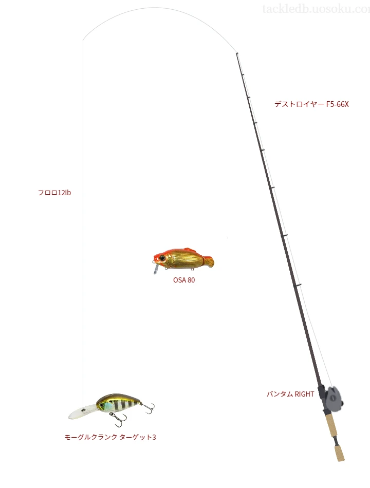 バス釣りに関するタックル、仕掛け図解