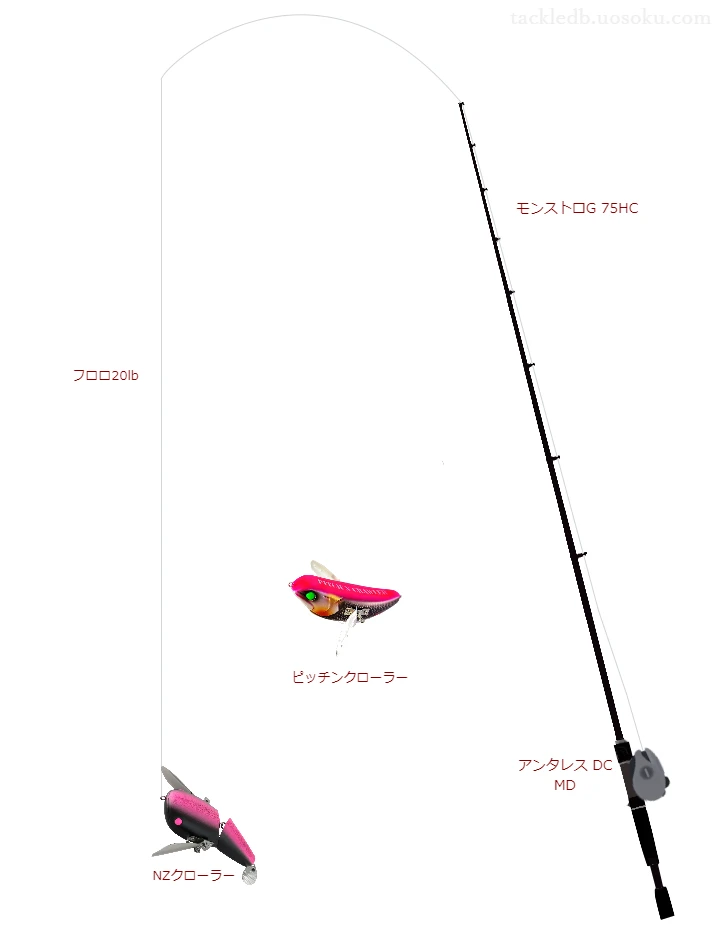 【恩方国際釣堀場】NZクローラーのためのバス釣りタックル【モンストロ】
