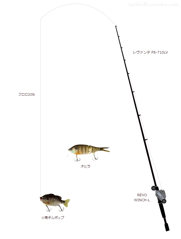 バス釣りに関するタックル、仕掛け図解